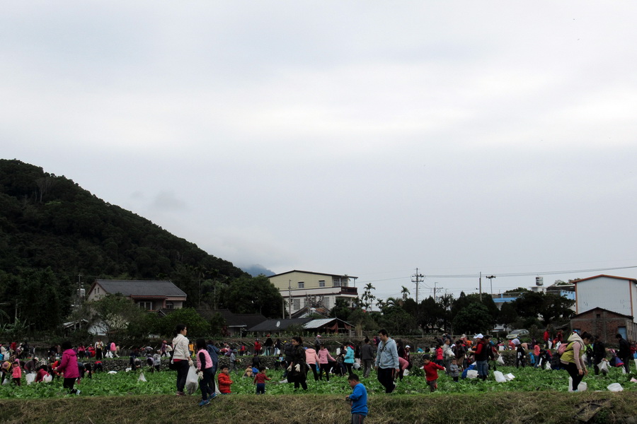 2017食在好玩　關山客味蘿蔔季