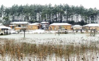 第三屆杏花村文化旅遊節　大年初一開幕
