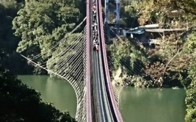 復興新溪口吊橋開放　議員楊朝偉盼大溪民眾享半價