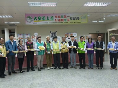 天然湧泉灌溉！中市大安蔥知名度高