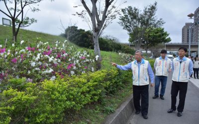 竹縣興隆路河堤杜鵑花盛放