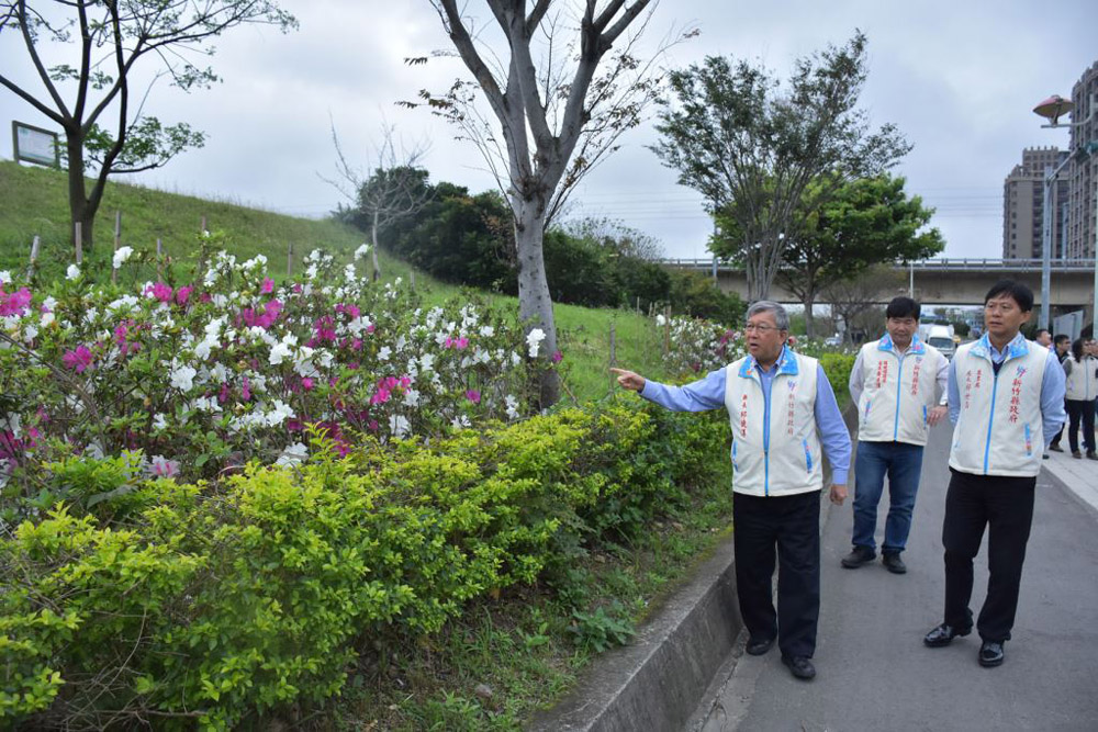 竹縣興隆路河堤杜鵑花盛放