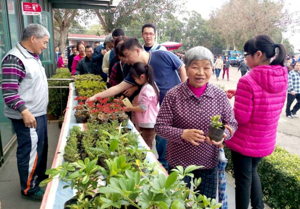 竹市鼓勵民眾提早掃墓　市府分批次發送盆栽