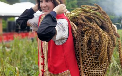 豐收的喜悅　小米收穫祭