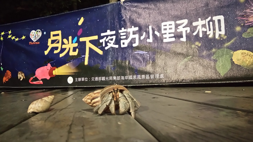 即日起至6月28日止　來小野柳一次網羅全台特殊地景之美！