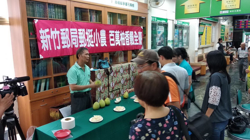 郵挺小農！百萬柚香飄全臺