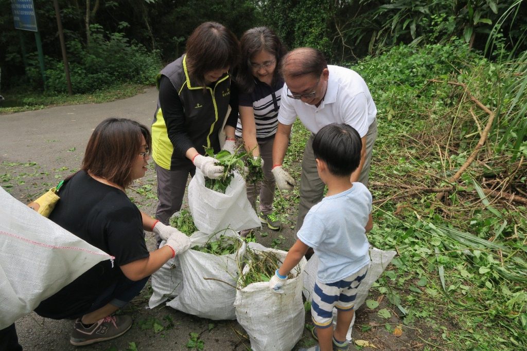 小花蔓澤蘭防治日 剷除「綠癌」森林健康更歡樂! 小花蔓澤蘭防治日 剷除「綠癌」森林健康更歡樂!