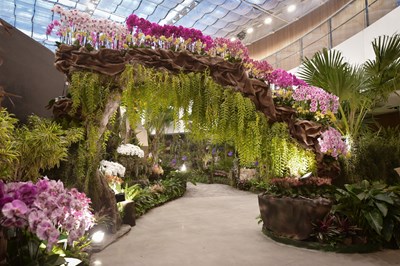 花博后里園區花舞館換檔　佈展至12/6