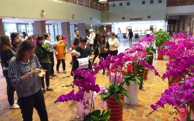 暖心送愛　林姿妙縣長義賣花卉捐弱勢