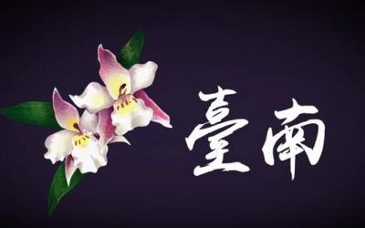 行銷2019台灣國際蘭展 蘭花職人代言影片 行銷2019台灣國際蘭展 蘭花職人代言影片
