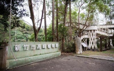 高峰植物園重整新面貌　驚見城市裡的原始森林秘境