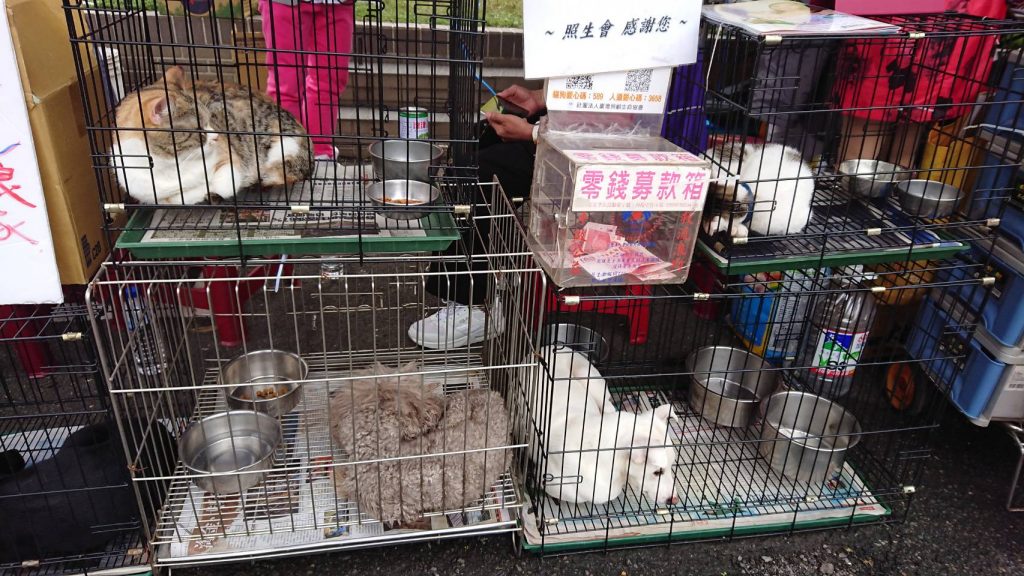 照生食物銀行只怕毛孩子餓！您愛心捐18KG飼料10包　飼料商加送飼料18KG