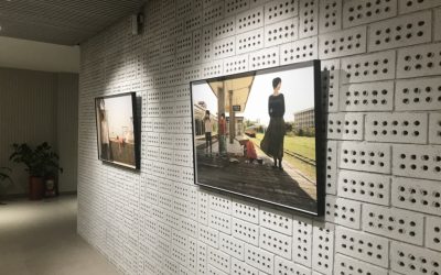 尋找彩繪千里馬　桃市圖申請展徵件6/1起跑