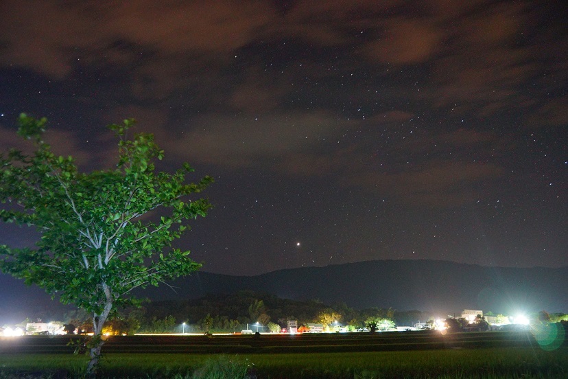 「最美」之夜！千人躺伯朗大道　驚嘆最美星空