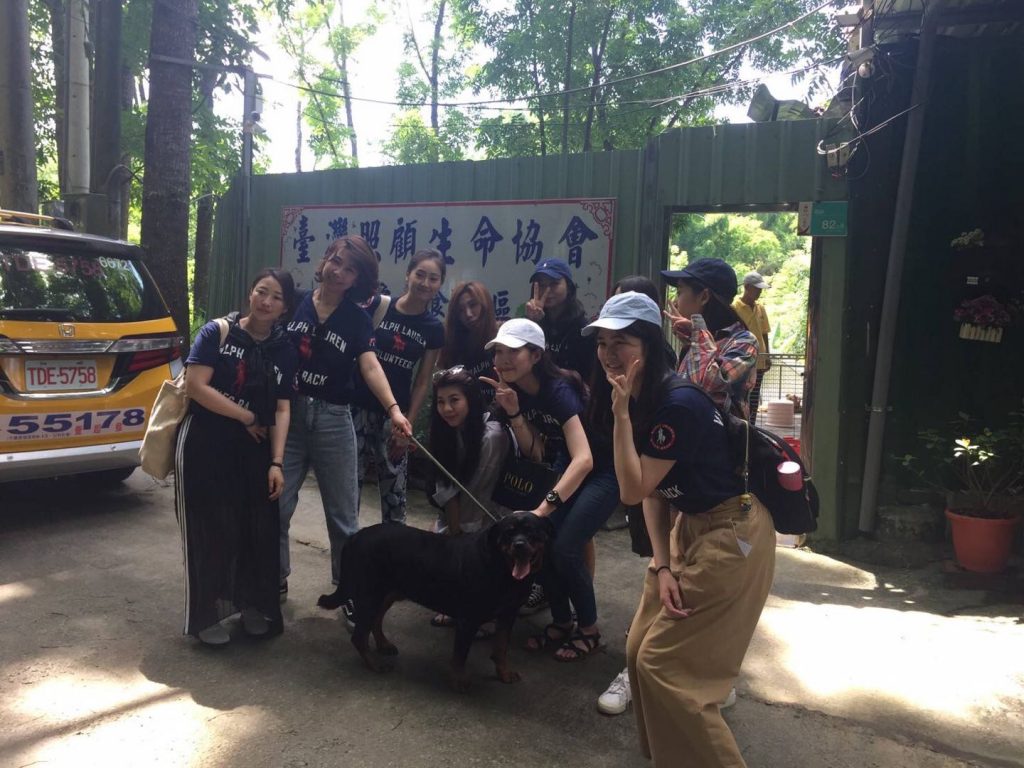 台南素食狗場園區加油打氣　照生會貓狗119 感恩香港外商