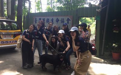 台南素食狗場園區加油打氣　照生會貓狗119 感恩香港外商