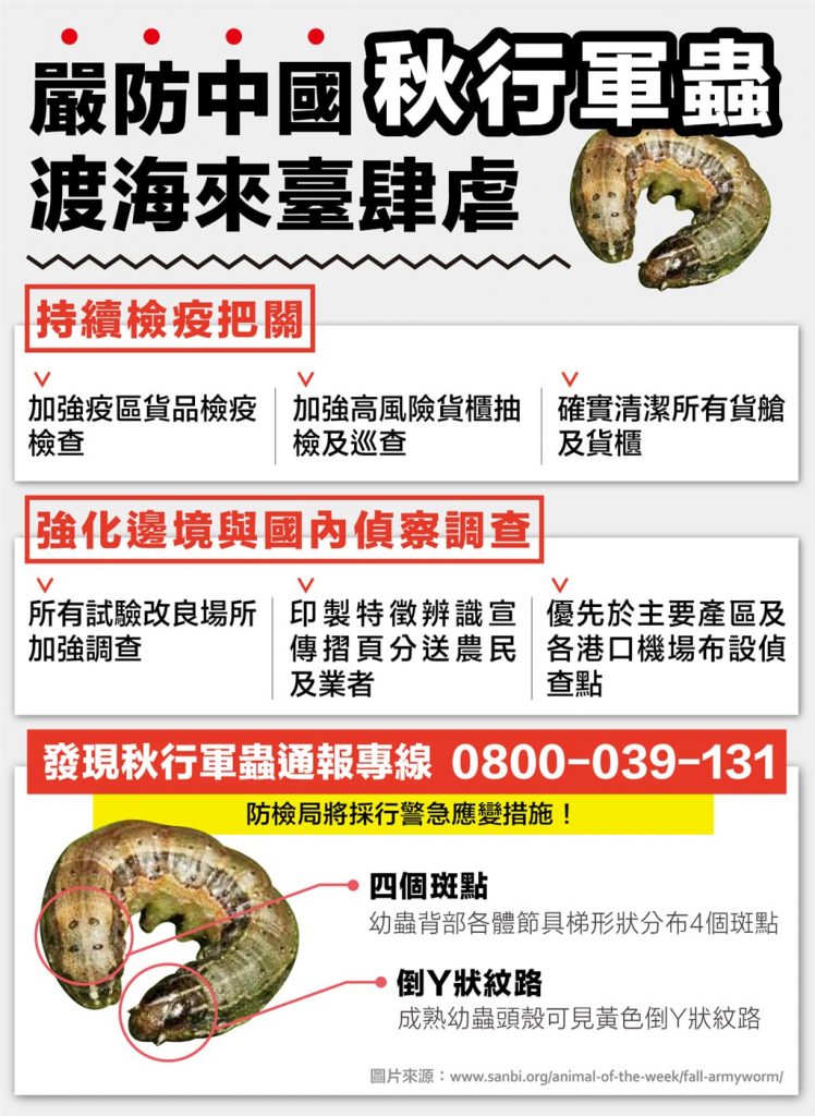 秋行軍蟲入侵 請農友多加留意 秋行軍蟲入侵 請農友多加留意