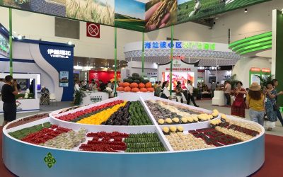 “廈洽會”成臺農“登陸”掘金集散地 “廈洽會”成臺農“登陸”掘金集散地