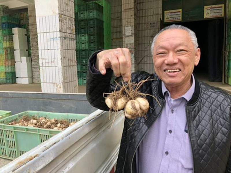 馬來西亞考察團一行蒞臨蘭州米家山百合產業園考察交流 馬來西亞考察團一行蒞臨蘭州米家山百合產業園考察交流