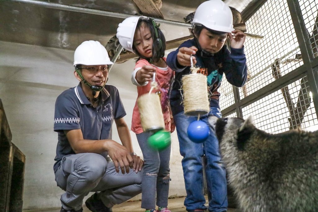 新竹動物園成為環境教育基地　為浣熊與猴子做玩具