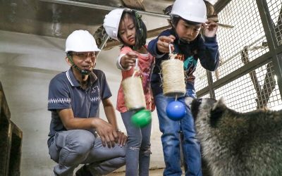 新竹動物園成為環境教育基地　為浣熊與猴子做玩具