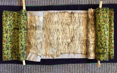 UNFCCC COP25台灣藝術不缺席　「RE-Earth」藝術計劃馬德里展出