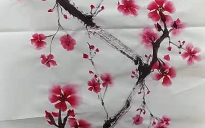天下無絕有  獨秀一枝春   訪河南易學家趙天平
