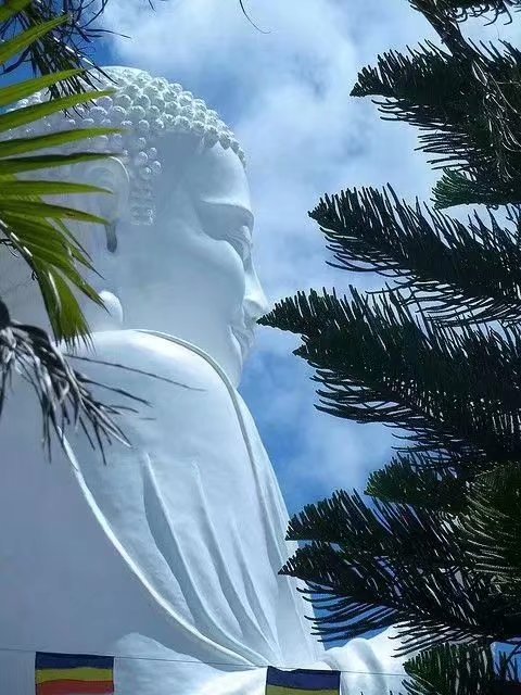月亮詩歌集錦／劉利峰