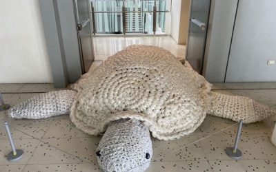 倡導減塑生活 「海呀！我的家」