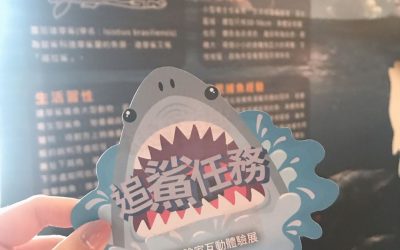228連續假期　海科館推海洋劇場門票買一送一優惠與好康活動