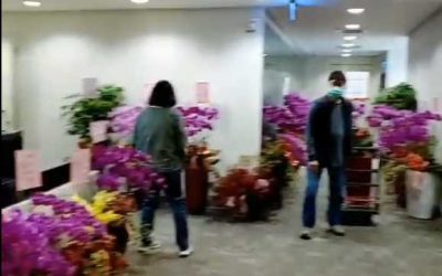 網轟上任「花博」延燒　施義芳挨批急止血