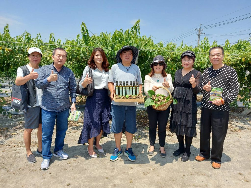 林佳興與印加果