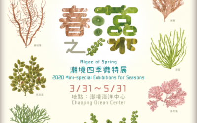 春之藻－潮境四季微特展