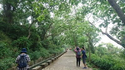 賞花+美食之旅　中市邀您探索繽紛美景