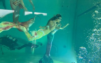 海科館首場人魚藝術表演 國家海洋日舞出藝術之美 海科館首場人魚藝術表演 國家海洋日舞出藝術之美