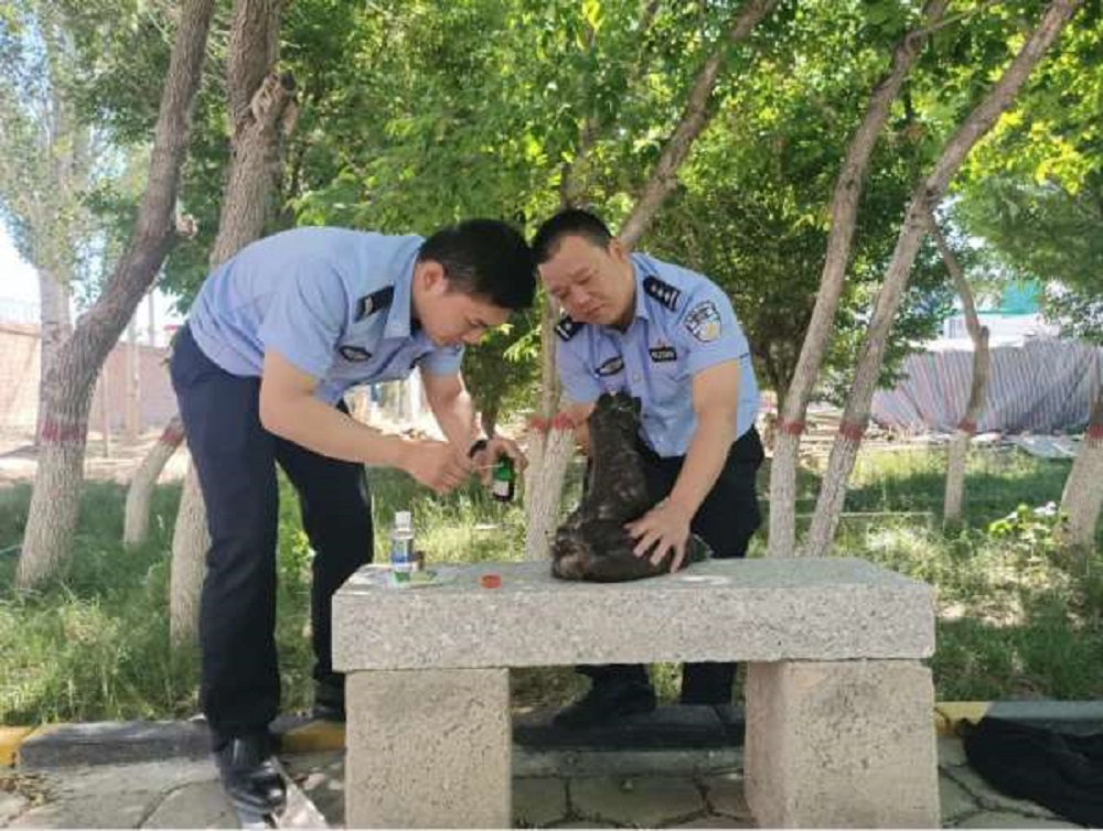 護助野生動物 關護人與自然