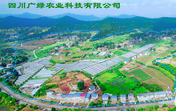 在川台資農業企業獲省級扶貧龍頭企業認定 在川台資農業企業獲省級扶貧龍頭企業認定