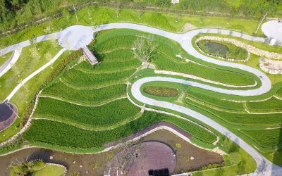 稻穗饗宴豐收季　桃園虎頭山大有梯田生態公園啟用