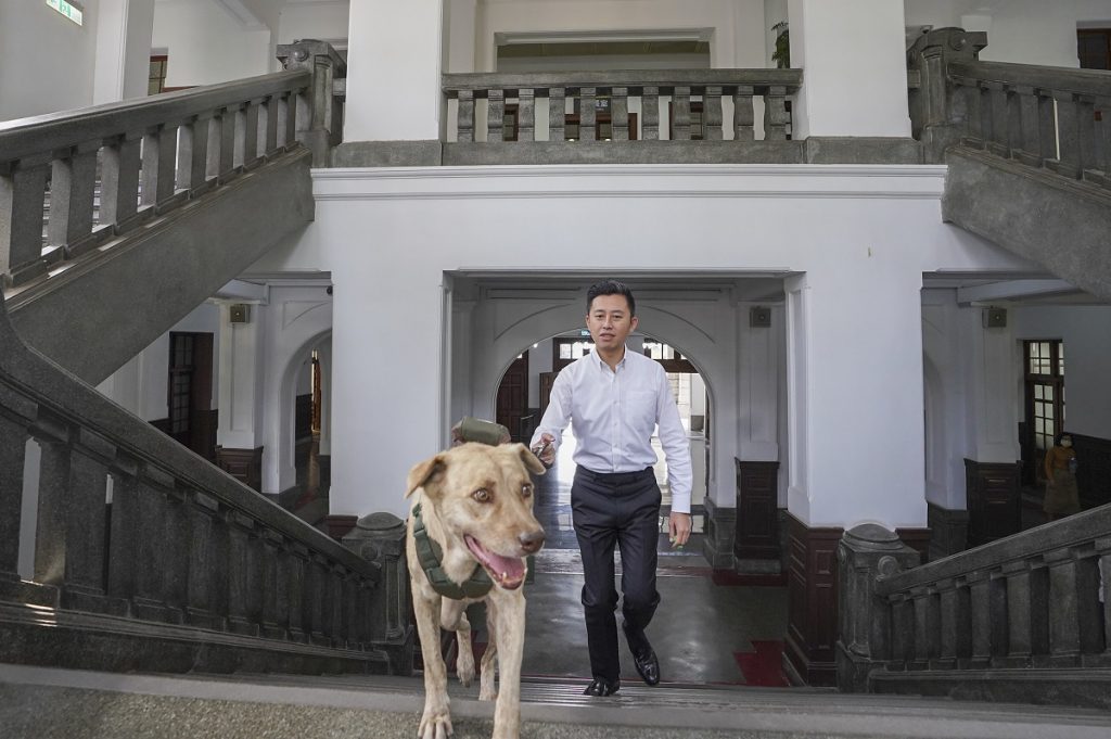 第二代市犬「棕棕」  代言周六毛寶貝同樂會