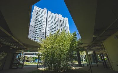 關埔國小五景  奪2020台灣建築獎首獎