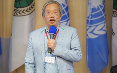 欠費1.8萬拍賣房子很合法？　行政執行署官員打臉陳菊？