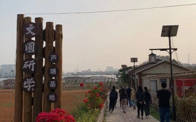 臺青紮根青礁村 造福蘆塘畫出美麗鄉村 臺青紮根青礁村 造福蘆塘畫出美麗鄉村