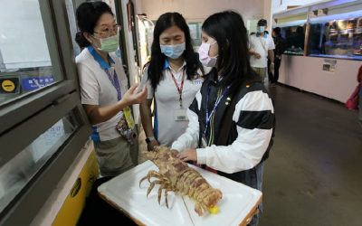 國際身心障礙者日　啟明學校師生前進海科館「觸」動海洋感動學習