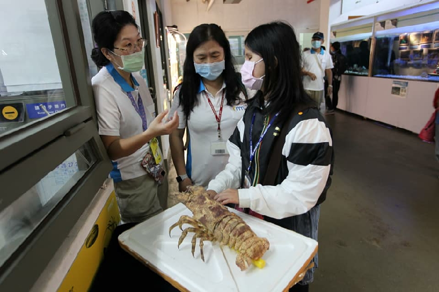 國際身心障礙者日　啟明學校師生前進海科館「觸」動海洋感動學習