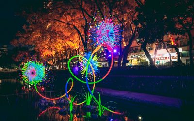 25日晚新竹東門城聖誕音樂會　夜看浪漫螢火蟲燈、煙花樹
