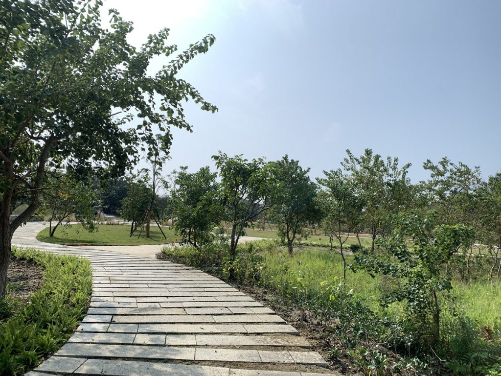 「香山濕地生態公園」獲國家卓越建設獎　周六啟用