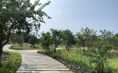 「香山濕地生態公園」獲國家卓越建設獎　周六啟用