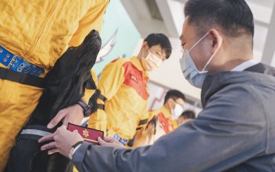 竹市特搜隊新添四搜救犬 林智堅親授階1線1星階級章 竹市特搜隊新添四搜救犬 林智堅親授階1線1星階級章