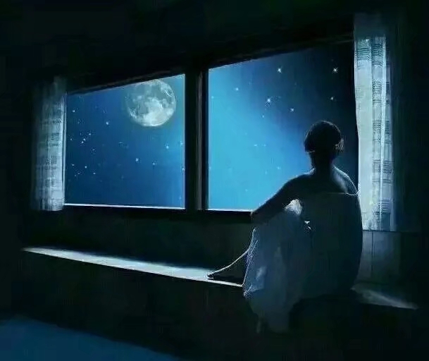 這個冬天，從不寂寞