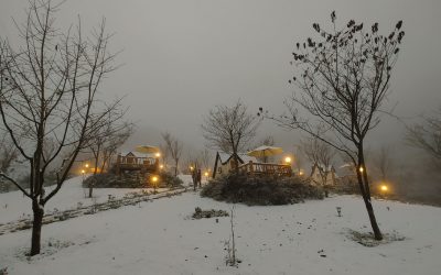 太平山降瑞雪 湧入遊客一睹銀白色世界 太平山降瑞雪 湧入遊客一睹銀白色世界
